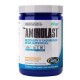 Aminolast 420g/Watermelon